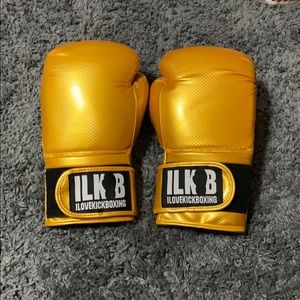 Kickboxing gloves